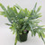 Fern | Blue Star