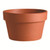Azalea Pot