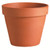 Standard Pot