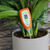 Digital pH Meter