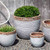 image courtesy of Campania International