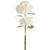 image courtesy of Allstate Floral & Craft