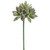 image courtesy of Allstate Floral & Craft