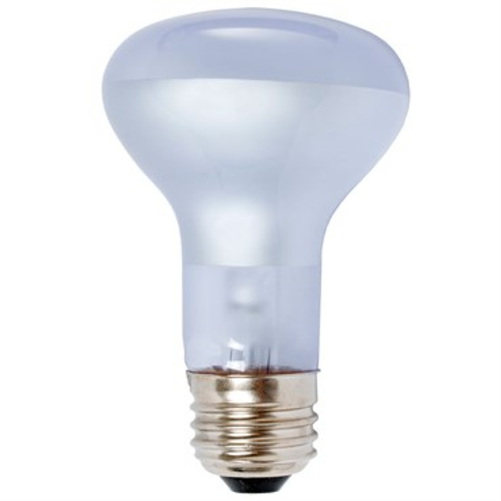 Dayspot Incandescent Bulb 60W
