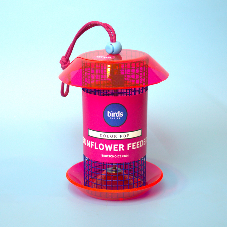 Color Pop Mini Bird Feeder | Blue - Fuschia