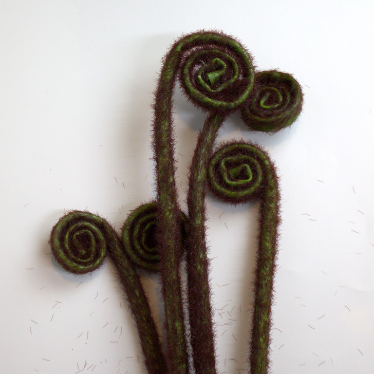 Fern Buds Stem Bundle