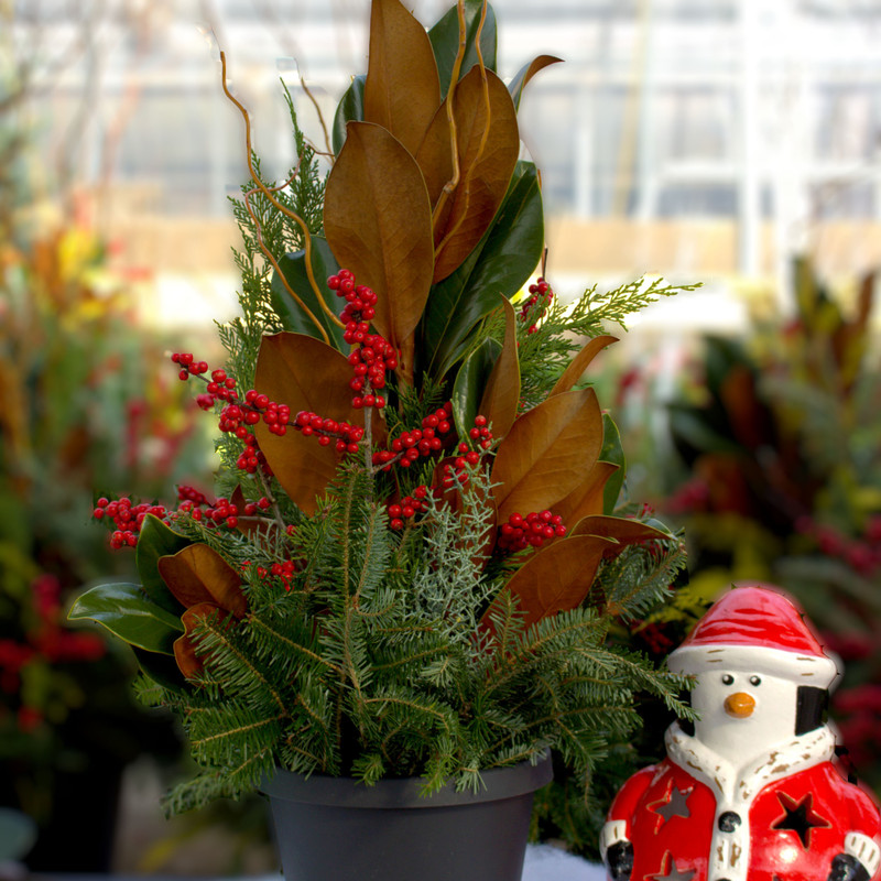Winter Magnolia Arrangement