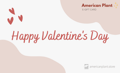 Happy Valentine's Day