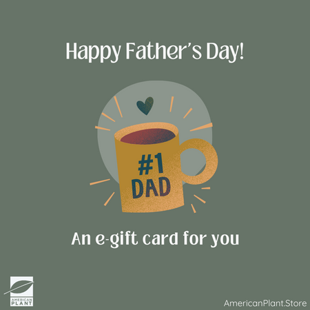 #1 Dad!