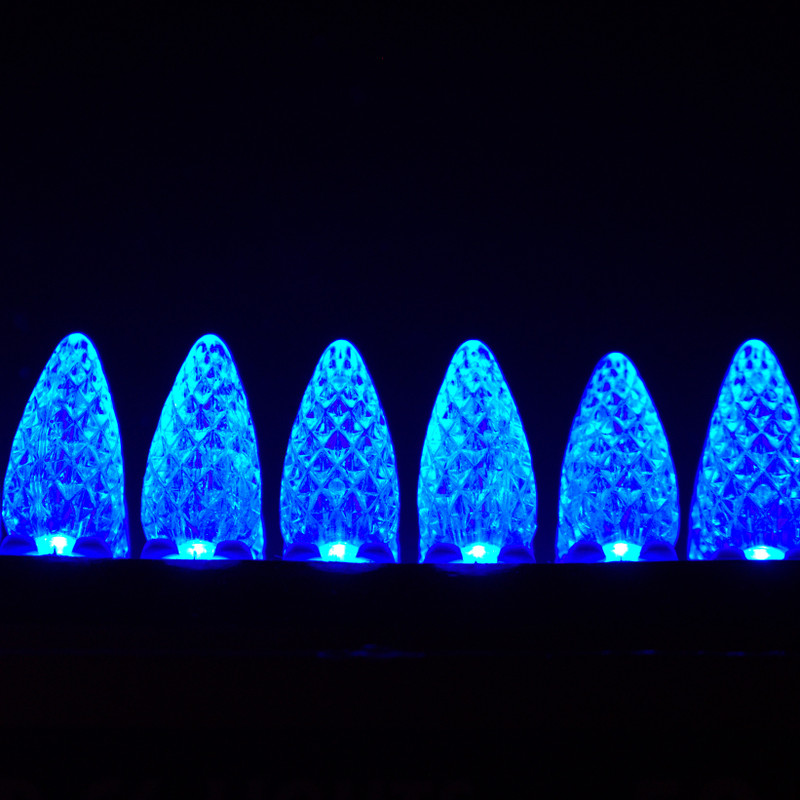C6 LED 50ct Light Set | Blue
