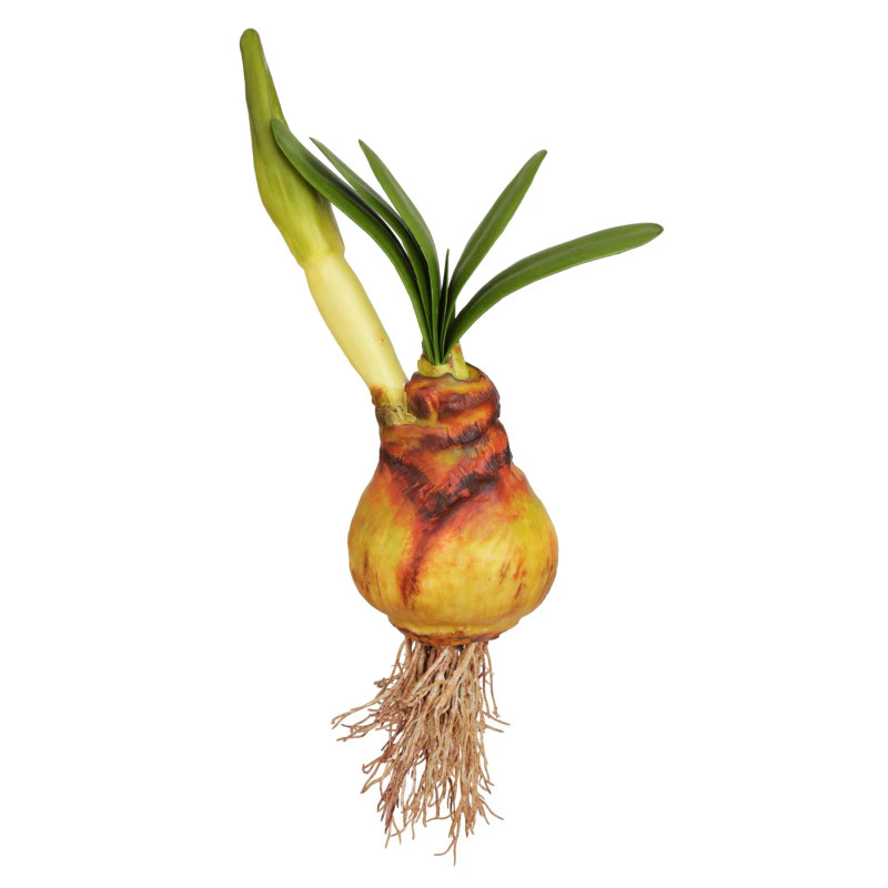 image courtesy of Winward Silks