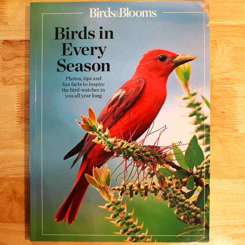 Birds & Blooms | Birds in Every Season