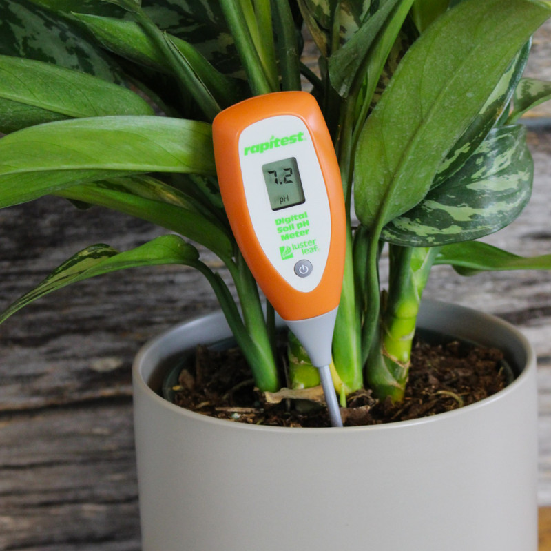 Digital pH Meter