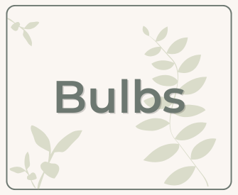 https://shop.americanplant.store/shop/bulbs/