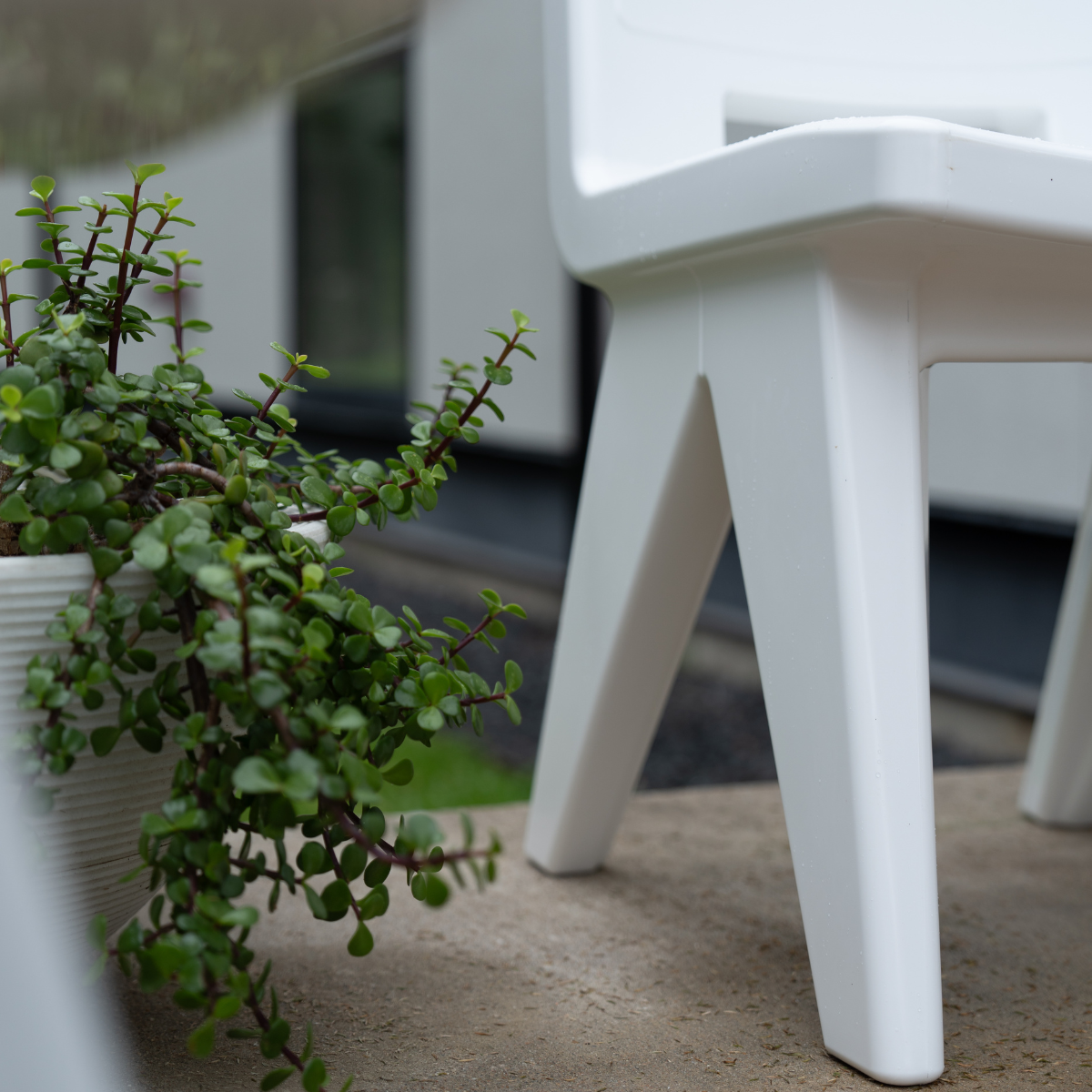 たえBOSCO DINING CHAIR BOSCO｜完成家具 スタンダード ASAHIWOOD｜製品案内｜朝日木材