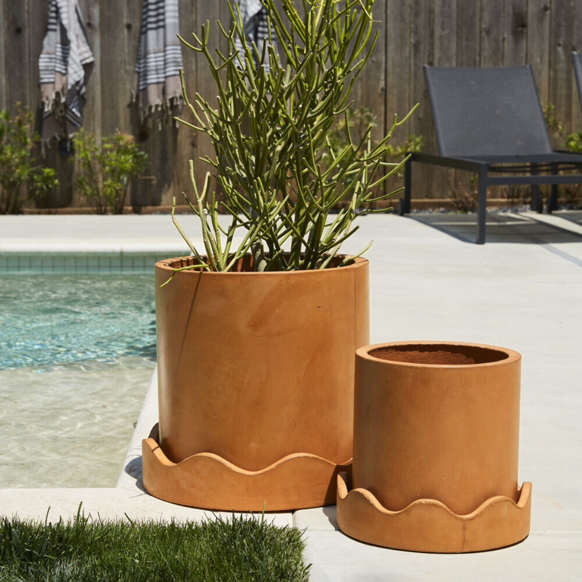 orange plant in pot Bold Orange Plant Pot