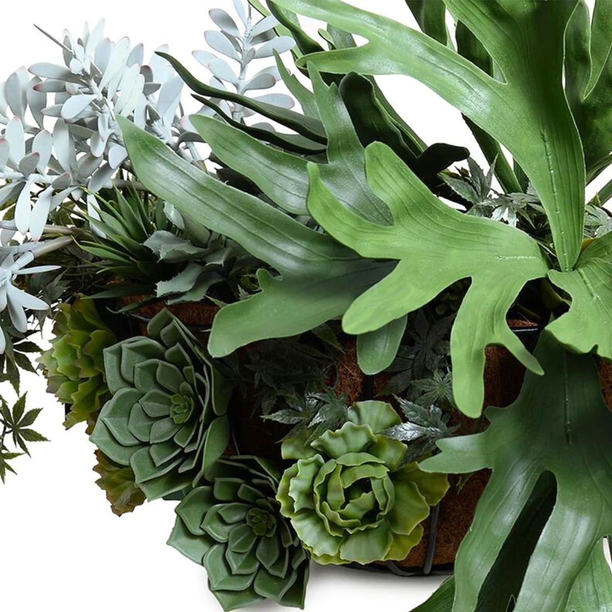 Staghorn & Succulents Mixed Hayrack Planter | UV Resistant