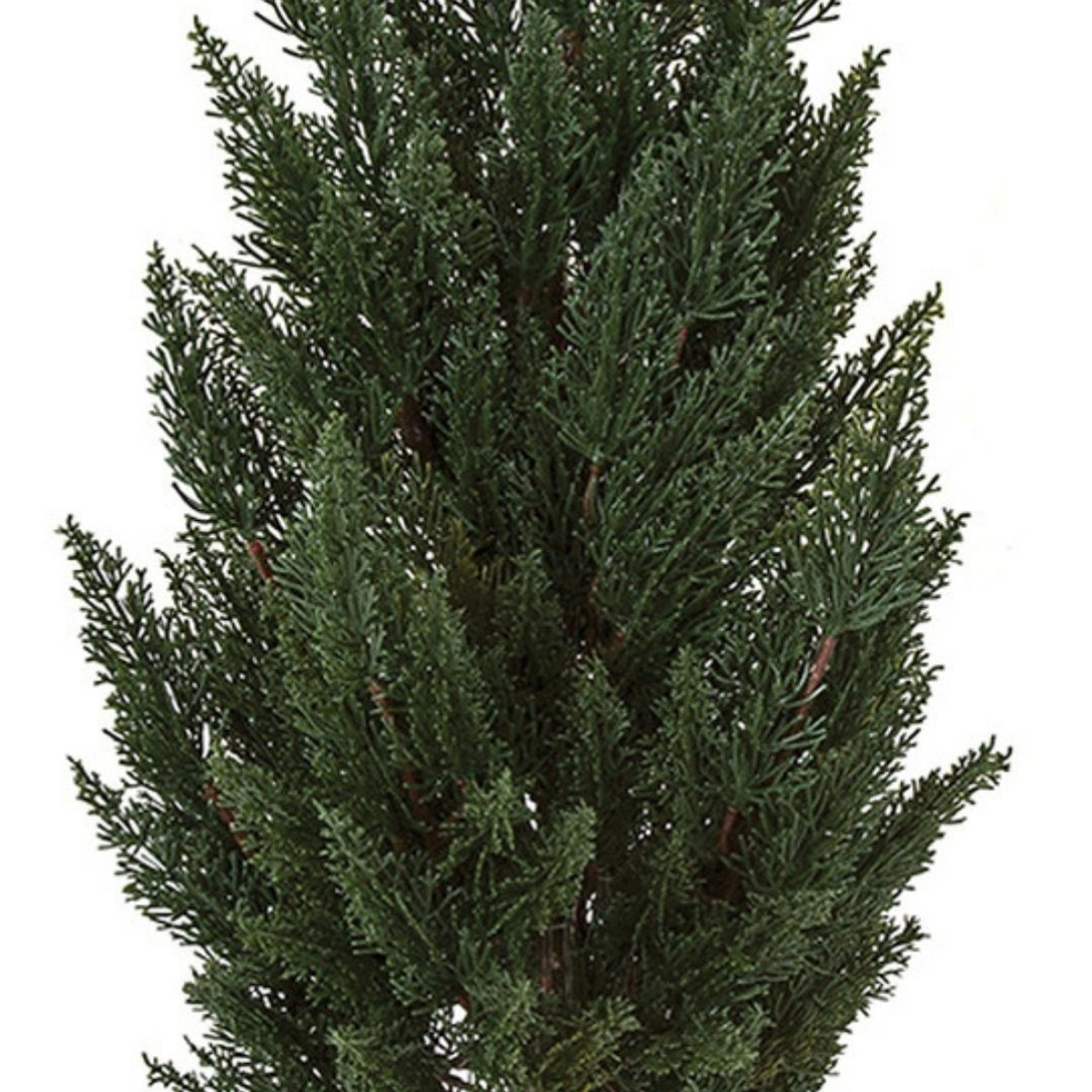 Outdoor Polyblend Italian Cypress Tree