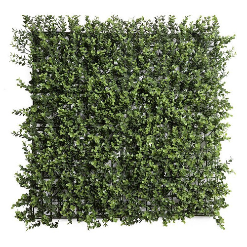 Boxwood 12 inch square panel