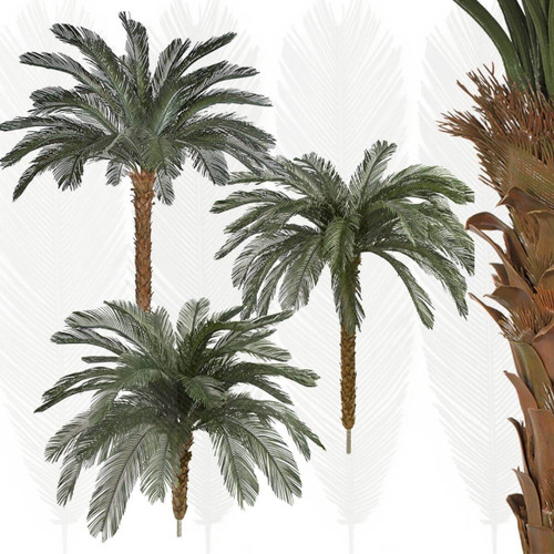 Polyblend Outdoor Palms
