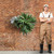 Staghorn Wall Basket for UV Outdoors