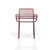 Doga Armchair Marsala