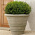 Oversized Planter