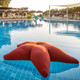 Ogo Starfish float in Croatia resort pool 