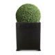 Eduraleaf Boxwood Globe in newport planter
