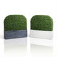 Wide Hedge in 2 planter options