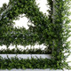 Boxwood and White Trellis