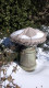 Fountain Cover