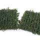 boxwood  rear interlocking