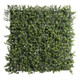 Boxwood 12 inch square panel