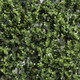 foliage detail