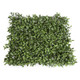 Tea Leaf perspective
