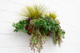 Long lasting UV protected Foliage - 5 year warranty