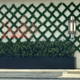 Houston Restaraunt Wallscape