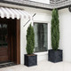 Baraveld Planters on entry Porch