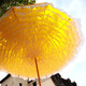 Bloom Yellow and White Umbrella