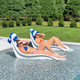 Tonik Bikini Loungers Customer tanning ledge Photo