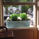 London Windowbox