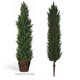 Italian Cypress Artificial