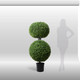 xxl Double Boxwood Topiary