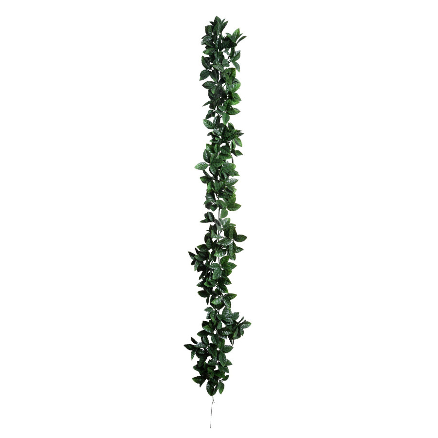 ligustrum Garland