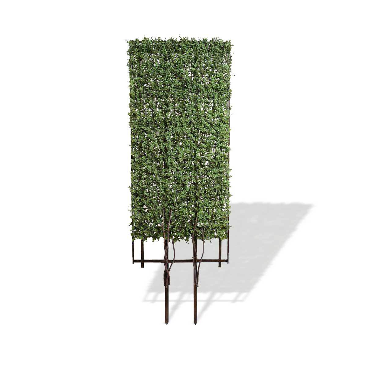 Studio image of Enduraleaf Boxwood Trellis with UV-resistant faux greenery on a wood frame