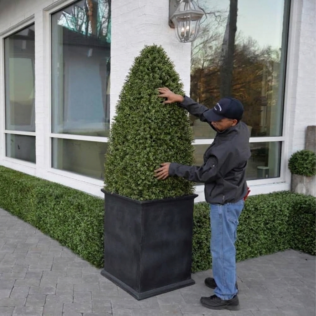 boxwood-obelisk-installation