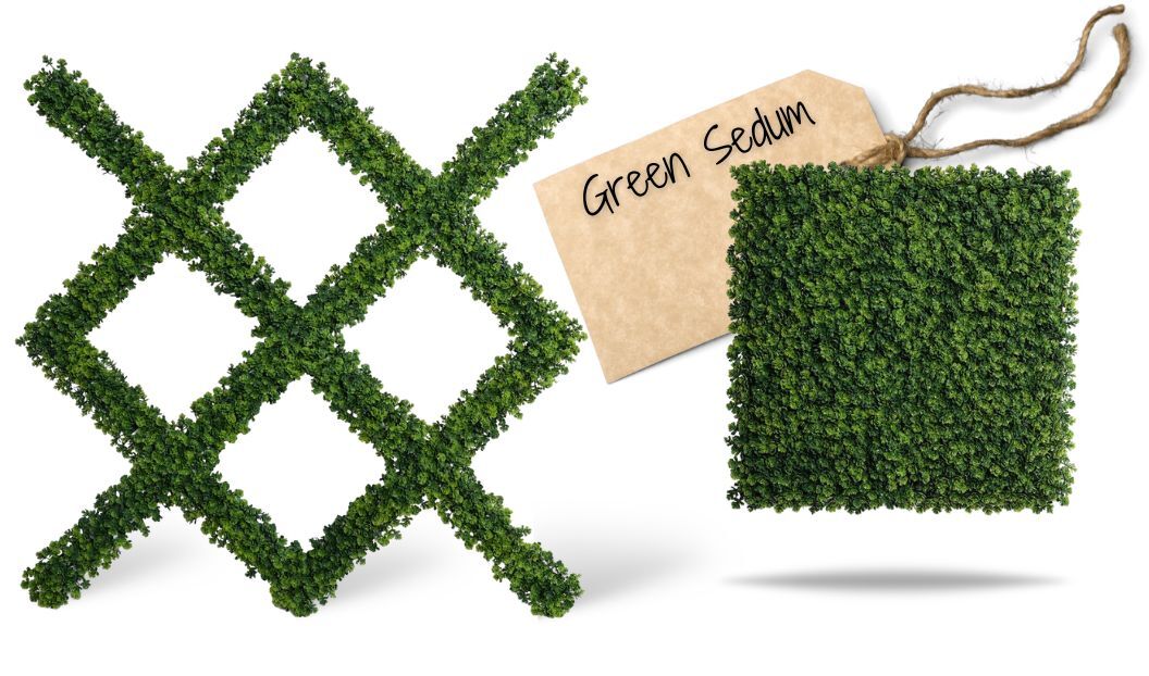 espalier-green-sedum
