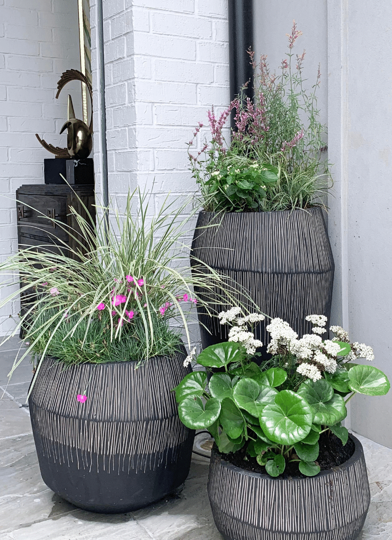 Melissa Gerstle Jeva Planter Grouping at Fort Worth Showhouse