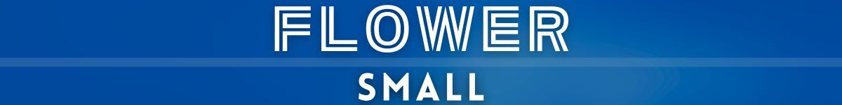 ogo-poool-floats-flower-small-luxury